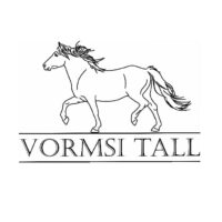 vormsi tall logo